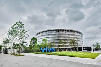 VIVO